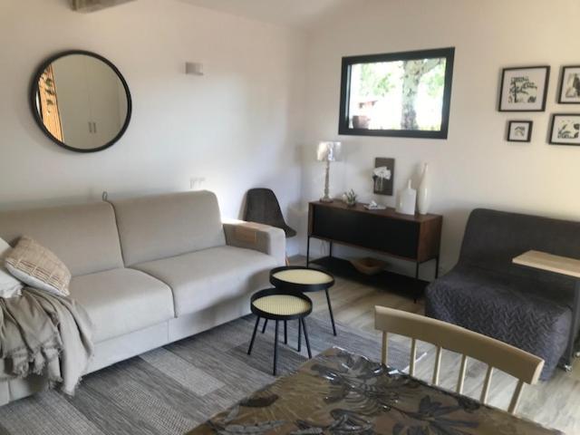 La Brindille Petit Mas Provencal Meuble De Tourisme 3 Etoiles 2-3 Personnes 1 Piece 30 M2 Tout Confort Lisiere Foret Jardin Jacuzzi Piscine Saint-Paul-en-Forêt Exteriér fotografie