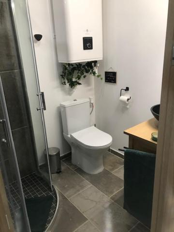 La Brindille Petit Mas Provencal Meuble De Tourisme 3 Etoiles 2-3 Personnes 1 Piece 30 M2 Tout Confort Lisiere Foret Jardin Jacuzzi Piscine Saint-Paul-en-Forêt Exteriér fotografie