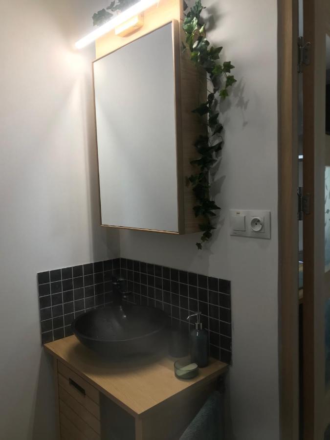 La Brindille Petit Mas Provencal Meuble De Tourisme 3 Etoiles 2-3 Personnes 1 Piece 30 M2 Tout Confort Lisiere Foret Jardin Jacuzzi Piscine Saint-Paul-en-Forêt Exteriér fotografie