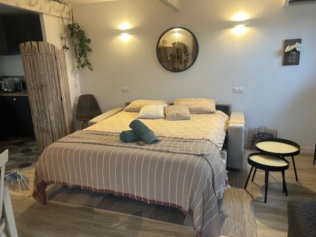 La Brindille Petit Mas Provencal Meuble De Tourisme 3 Etoiles 2-3 Personnes 1 Piece 30 M2 Tout Confort Lisiere Foret Jardin Jacuzzi Piscine Saint-Paul-en-Forêt Exteriér fotografie