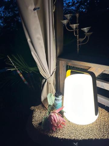 La Brindille Petit Mas Provencal Meuble De Tourisme 3 Etoiles 2-3 Personnes 1 Piece 30 M2 Tout Confort Lisiere Foret Jardin Jacuzzi Piscine Saint-Paul-en-Forêt Exteriér fotografie