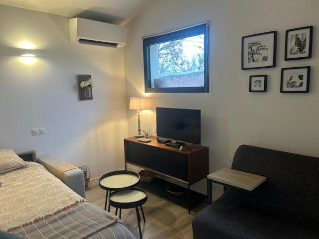 La Brindille Petit Mas Provencal Meuble De Tourisme 3 Etoiles 2-3 Personnes 1 Piece 30 M2 Tout Confort Lisiere Foret Jardin Jacuzzi Piscine Saint-Paul-en-Forêt Exteriér fotografie